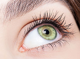 eye and eyelash close-up