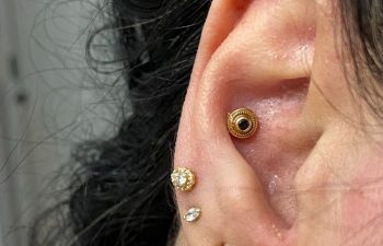 Close-up of an ear with four piercings: a gold hoop, two small studs, and a larger gold plug in the conch area.