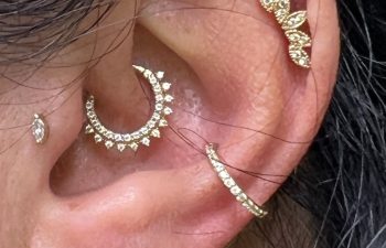 Close-up of an ear with multiple piercings, featuring gold and diamond jewelry including a crescent, a leaf design, two studs, and a hoop.