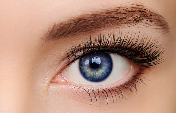 Close-up of a blue eye with long eyelashes and a well-groomed eyebrow.